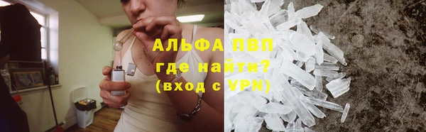 индика Нефтекумск