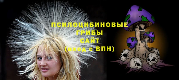 индика Нефтекумск