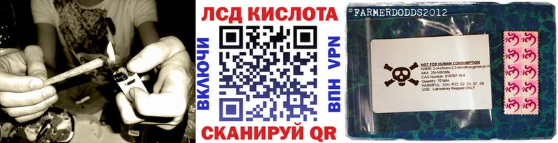 OMG зеркало  Кыштым  Марки N-bome 1,5мг  дарнет шоп 
