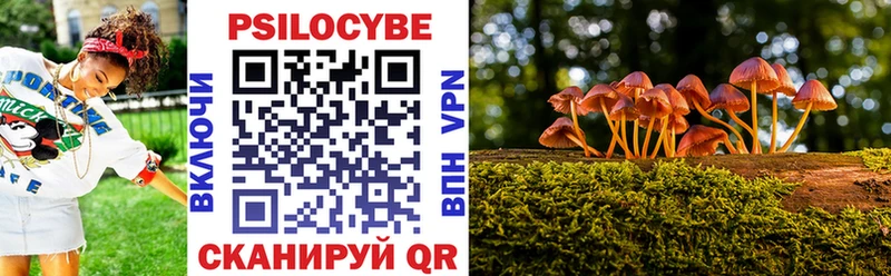 купить наркоту  Кыштым  Галлюциногенные грибы Magic Shrooms 